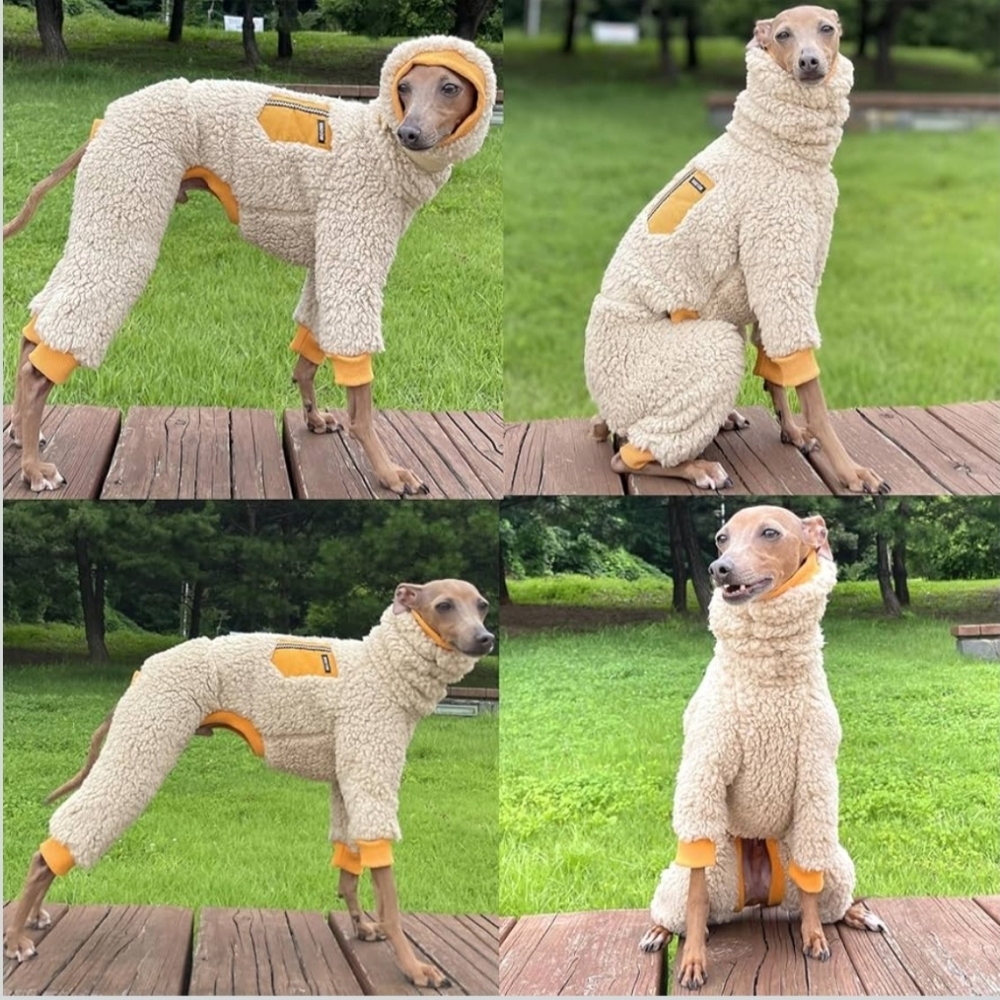 Dog Sweater